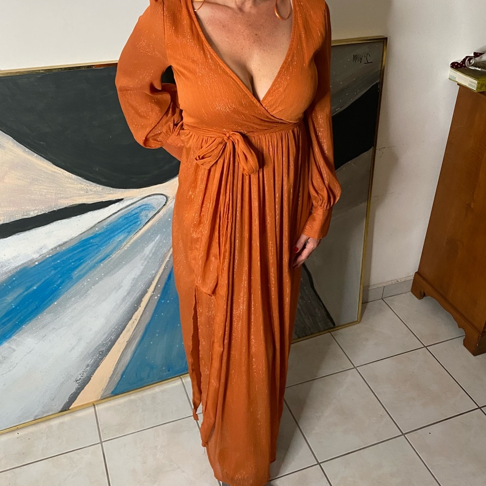 Beautiful Sheer Spicy Evening Dress